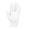 Titleist Players Golf Glove palm