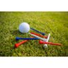 PGA TOUR 7cm Wooden Golf Tees In Action
